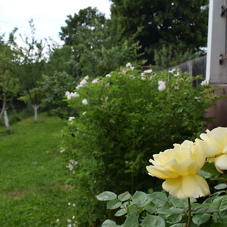 Apartman Mira Sarajevo Luaran gambar